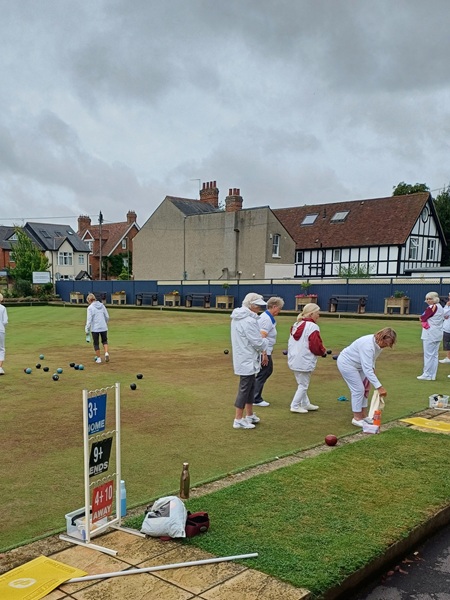 514256706 10162715524027412 1371459815056188347 n